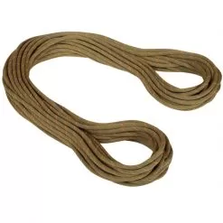 Mammut 9.9 Gym Workhorse Classic Rope Climbing Rope