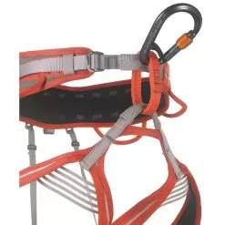 CAMP Core Belay Lock Screw-lock Climbing Carabiner -Outdoors Shop 2281 6 2926 f min