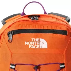 The North Face Borealis Classic 29L Backpack -Outdoors Shop cf9c 210 alt2