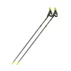 Fizan Carbon 3K Impulse Nordic Walking Poles 1 Fizan Carbon 3K Impulse Nordic Walking Poles -Outdoors Shop fizan carbon 3k impulse 2 8 1