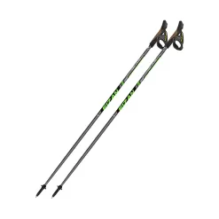 Fizan Runner Nordic Walking Poles
